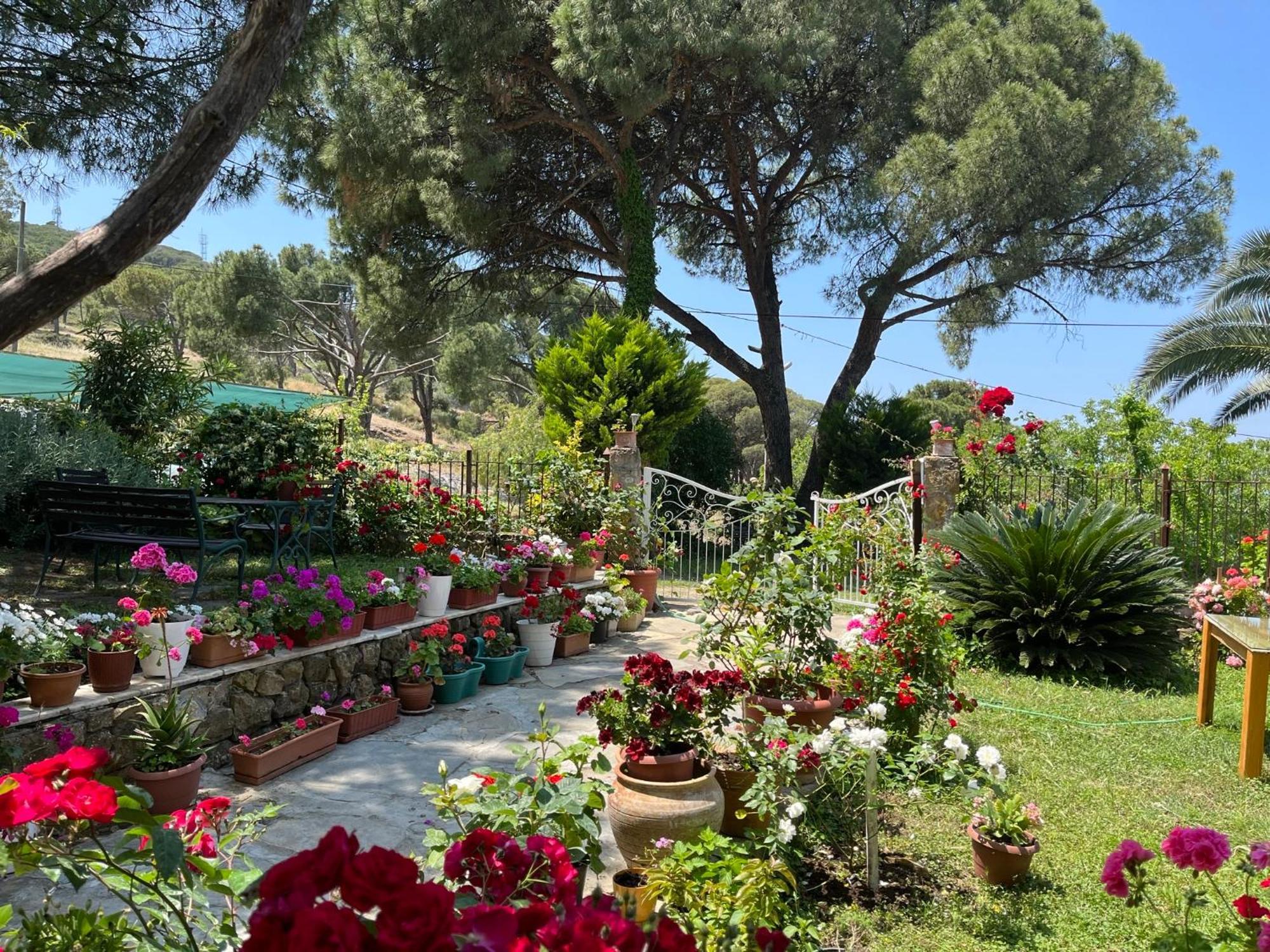 Gunebakan Taliani Hotel Ayvalik Bagian luar foto